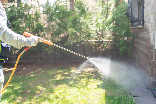 Best Commercial Pest Control  in Splendora, TX